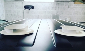 norwegian-conversion-1