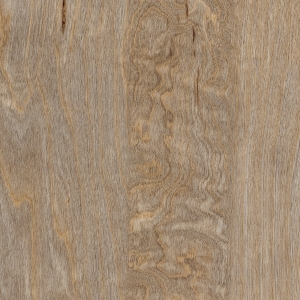 SX5W2516-Bleached-Elm-Swatch-2-Planks-2011